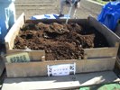 混合用の完熟堆肥