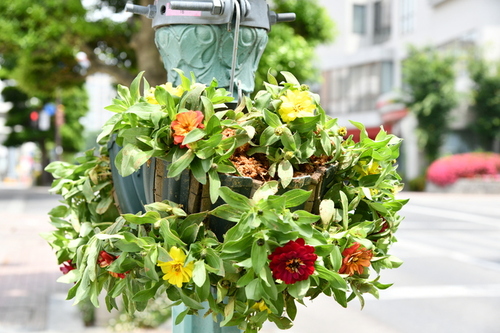 写真：街路灯に飾った花の寄せ植え