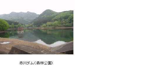 赤川ダム