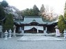 桜咲く護国神社