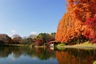 栃木県中央公園と県立博物館