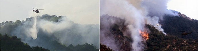 山火事の写真