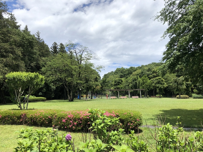 中岡本緑公園芝生広場